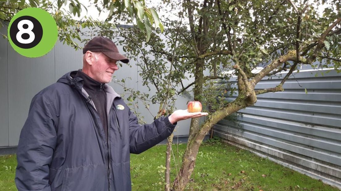 Giftige appels in de tuin van Roelof de Wit.