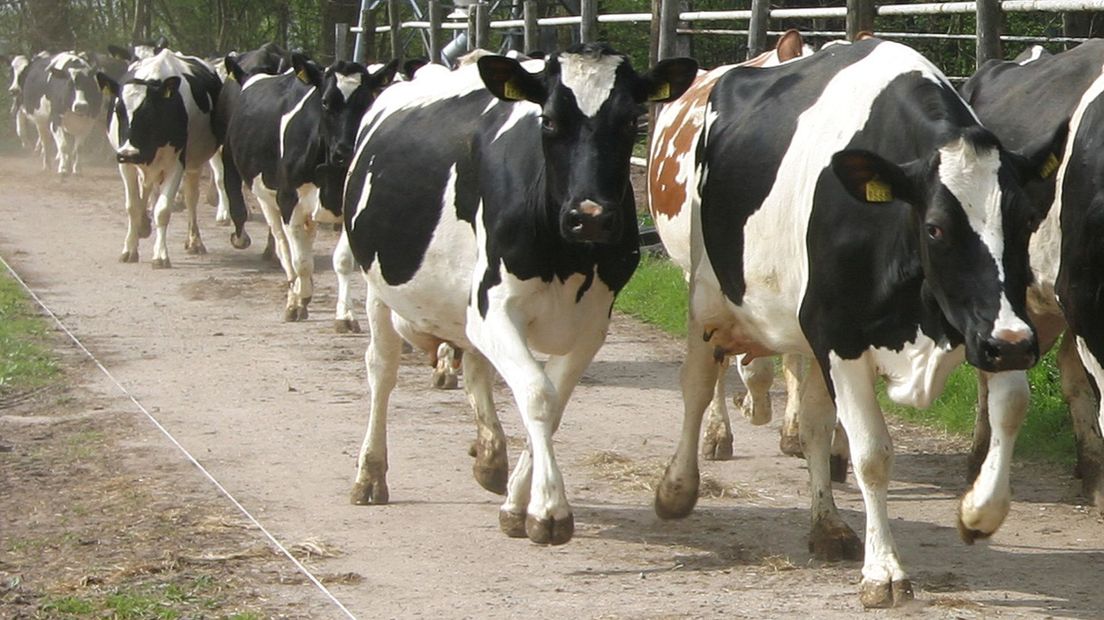 Uitkopen van piekbelastende boeren mag van Europese Commissie