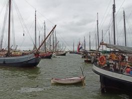 Wat betsjut de brune float foar Fryslân en hoe bliuwt er yn libben?