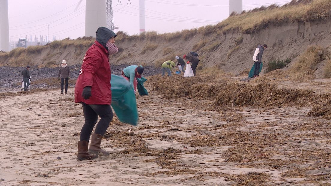 Vrijwilligers ruimen plastic en ander afval Kalootstrand op