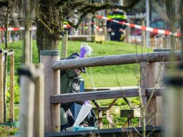 Explosief Leidsche Rijn bestond uit pakketjes met snoeren, leek op plofkraakbom