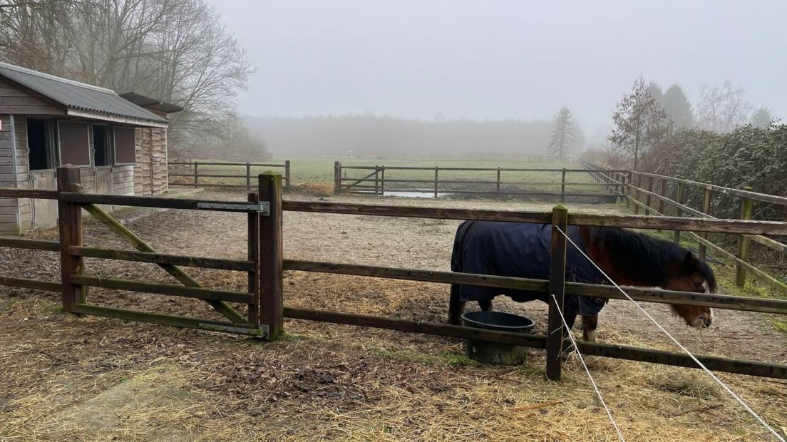 Het terrein van stichting Dierenpiramide in Stadskanaal