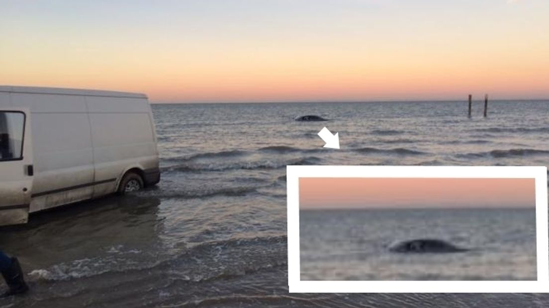 Bij het strand van Nieuwvliet ging op 19 januari 2017 een auto kopje onder.