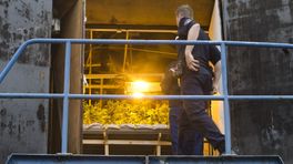 Drugshandel in Ommelanden floreert door tekorten aan handhavers