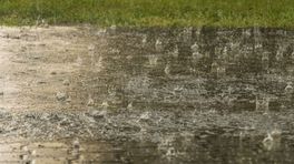 Heeft al die regen de droogte definitief opgelost?