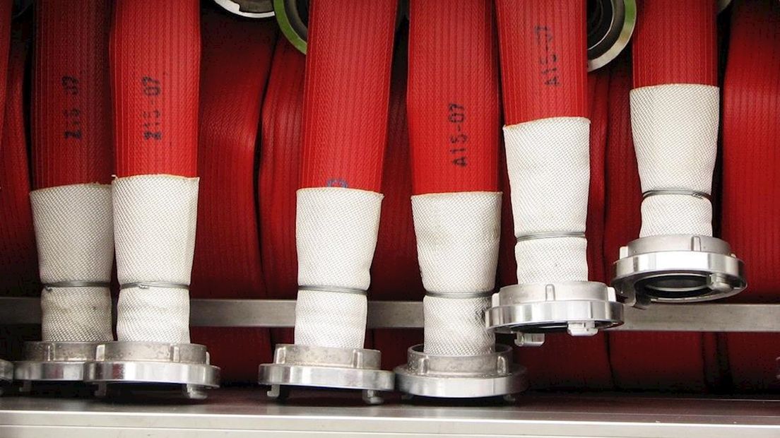 coniferenbrand in Hengelo