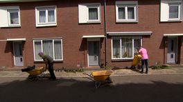 'Versteend' Ammerzoden is blij met vergroening