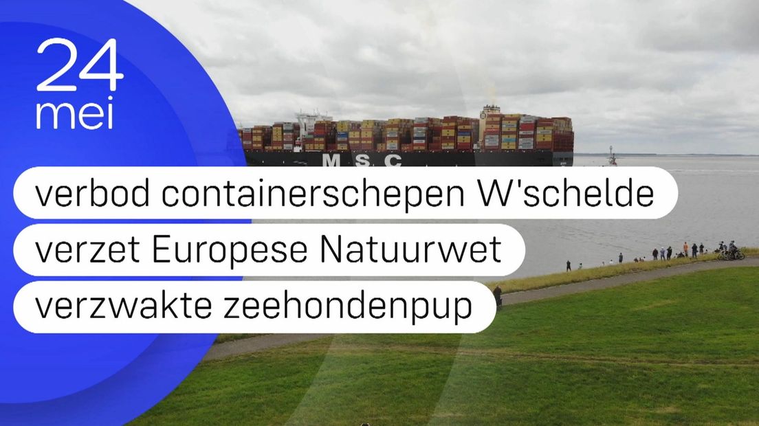 Zeeland Nu