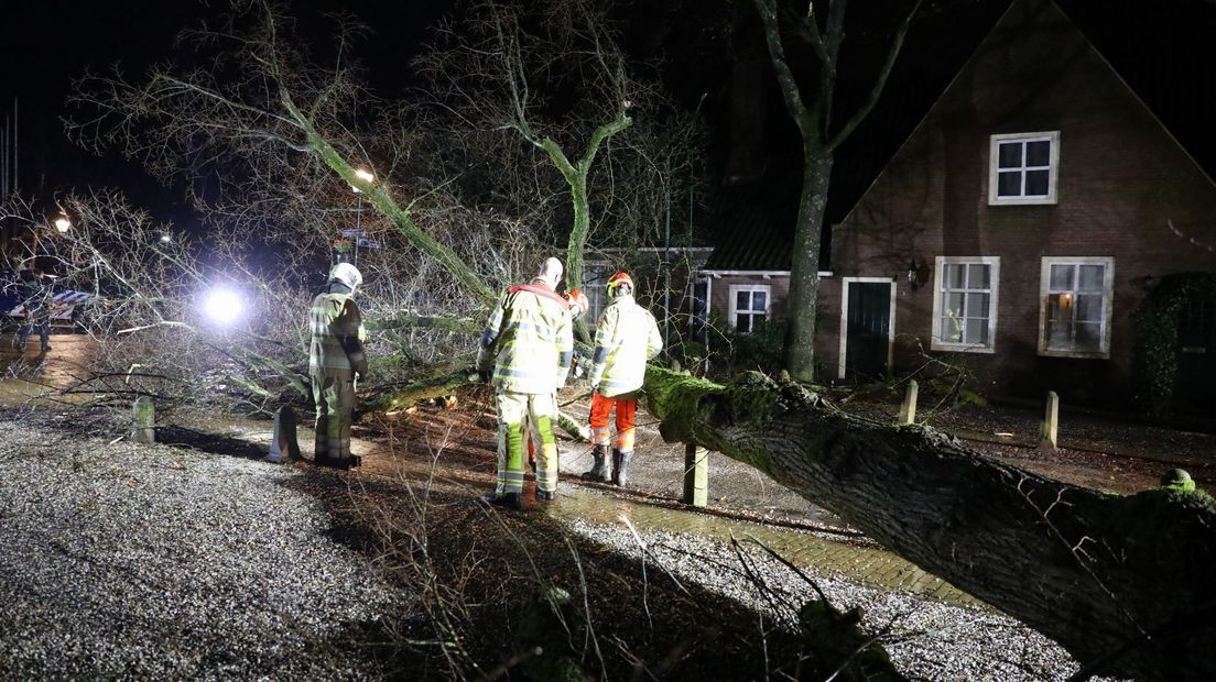 Stormschade Lage Vuursche.