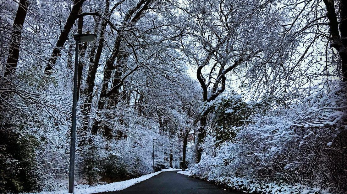 De sneeuw is van korte duur dit weekend (Rechten: RTV Drenthe/Susan Pathuis)