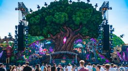 Tweede editie Neverland afgeblazen