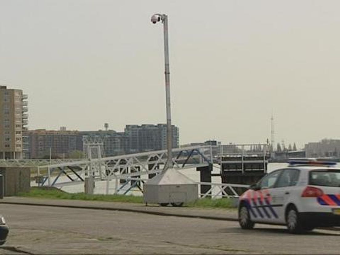 nesch19_04.cropresize.tmp.jpg