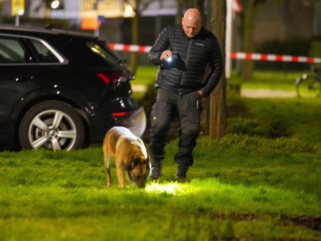 Speurhond op zoek naar kogelhulzen