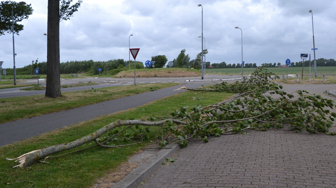 Stormschade bomen in Vlissingen