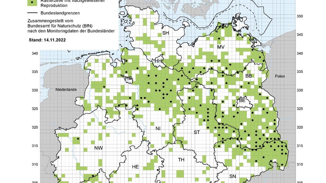 De wolvenpopulatie in Duitsland