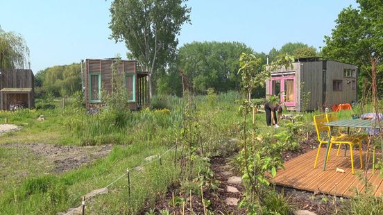 Neem een kijkje bij de Rotterdamse Tiny Houses in 2023