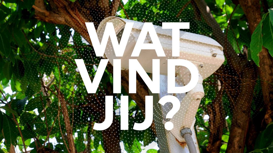 Wat vind jij?