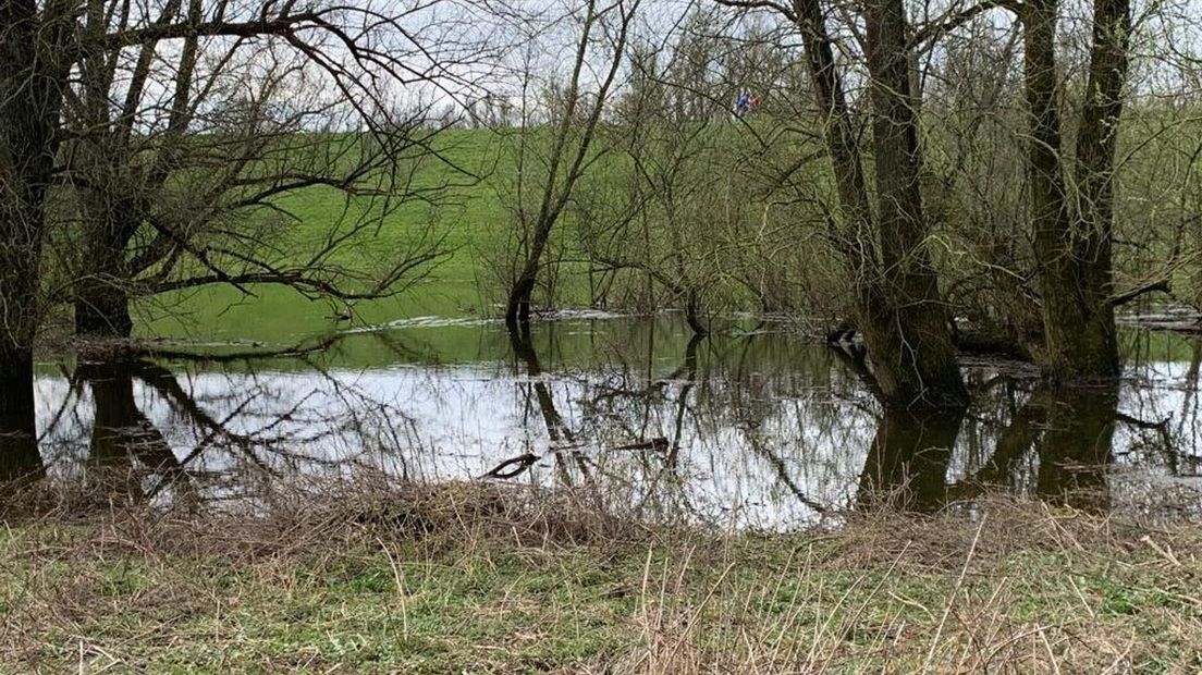 Alleen in de Ooijpolder gaat het goed met de natuur