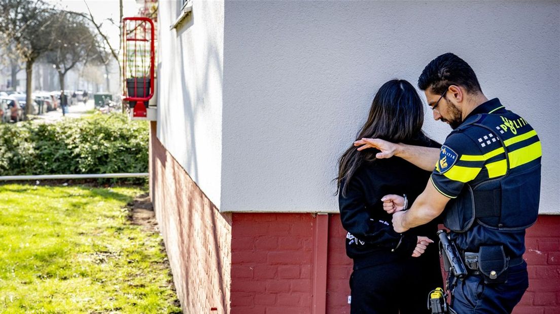 In Glanerbrug is een vrouw aangehouden omdat haar hond een kat doodbeet (foto ter illustratie).