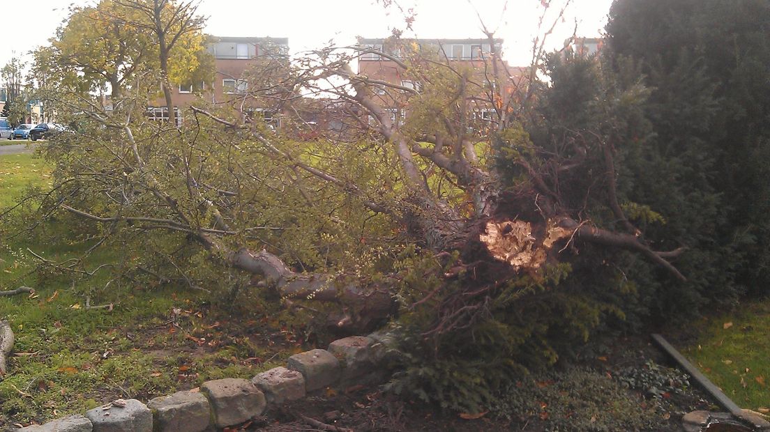 Zwaar weer op komst in Gelderland