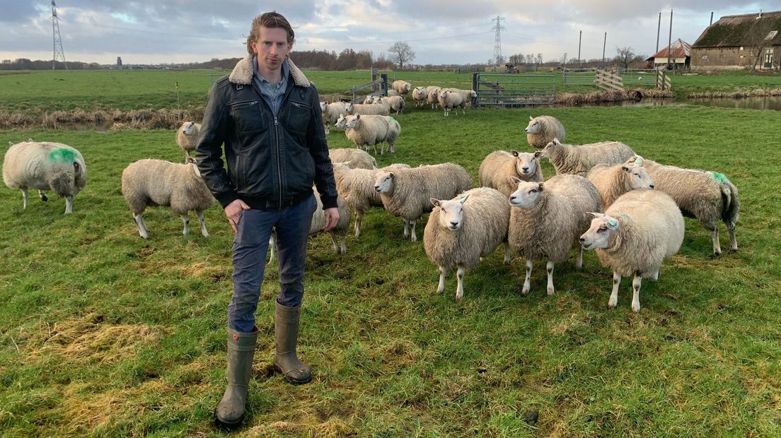 Voor schapenboer Pieter de Jong uit Achterbroek is het waterpeil van groot belang