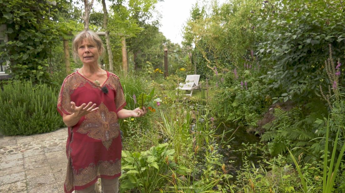 Marlies Durant laat haar eetbare tuin zien