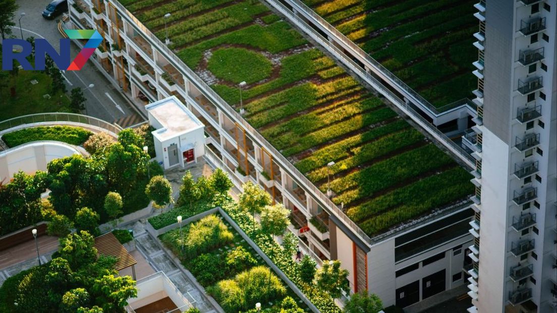Er komen nog meer groene daken in Nijmegen aan