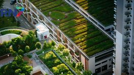 Opnieuw subsidie voor groene daken in Nijmegen beschikbaar