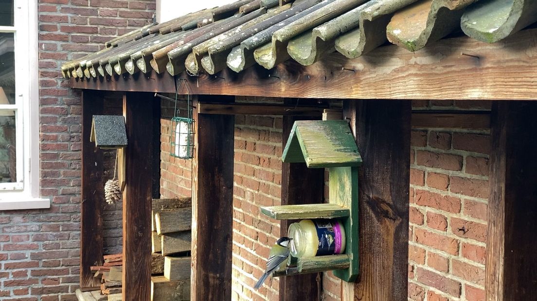 We telden dit weekend massaal de vogels in onze tuin.