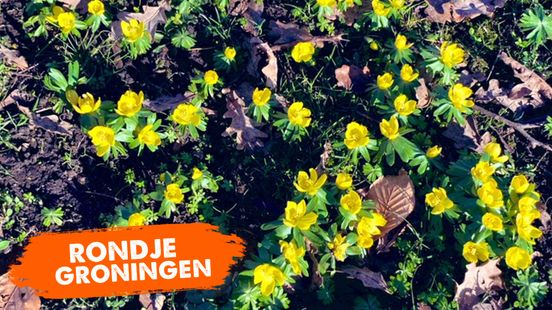 Rondje Groningen: De lente komt!