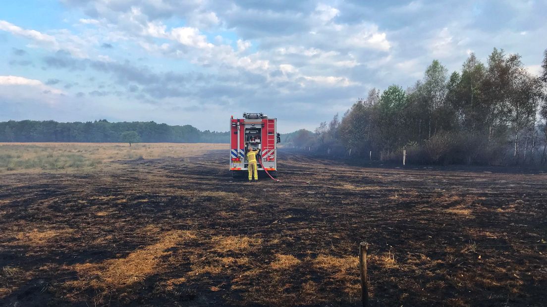 Waar werd het landschap dit jaar zwartgeblakerd door een heidebrand? (Rechten: RTV Drenthe/Andries Ophof)