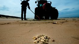 Rijkswaterstaat treft paraffine aan op strand Schiermonnikoog