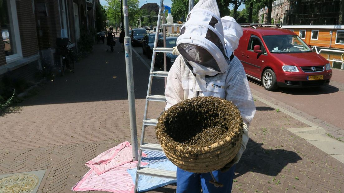 De bijen krijgen een nieuw thuis in Park Oog in Al