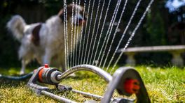 De paraplu kan in de kast: 'Het blijft heel lang droog'