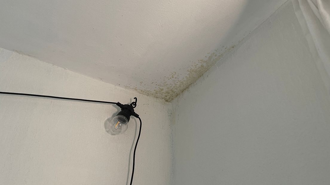 Schimmel op het plafond van een kamer