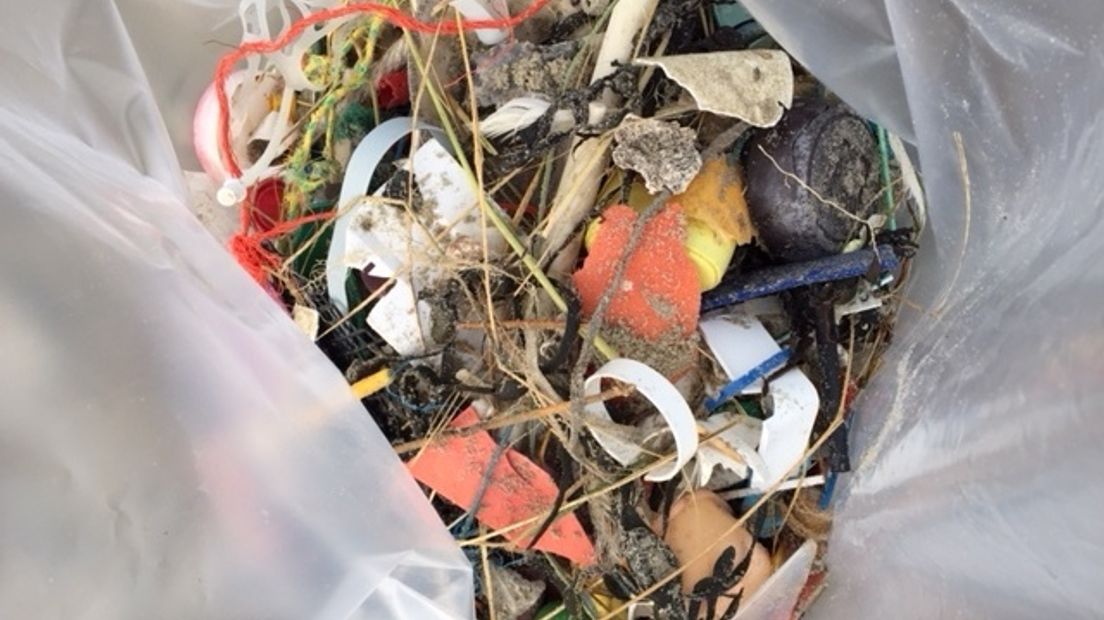 Vrijwilligers rapen plastic op het strandje bij het Topshuis