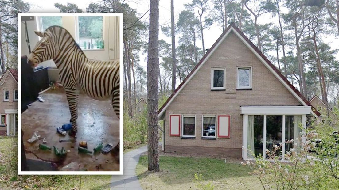 Tijdens een bedrijfsfeest op een vakantiepark in ’t Loo werd in een van de huisjes een ravage aangericht.
