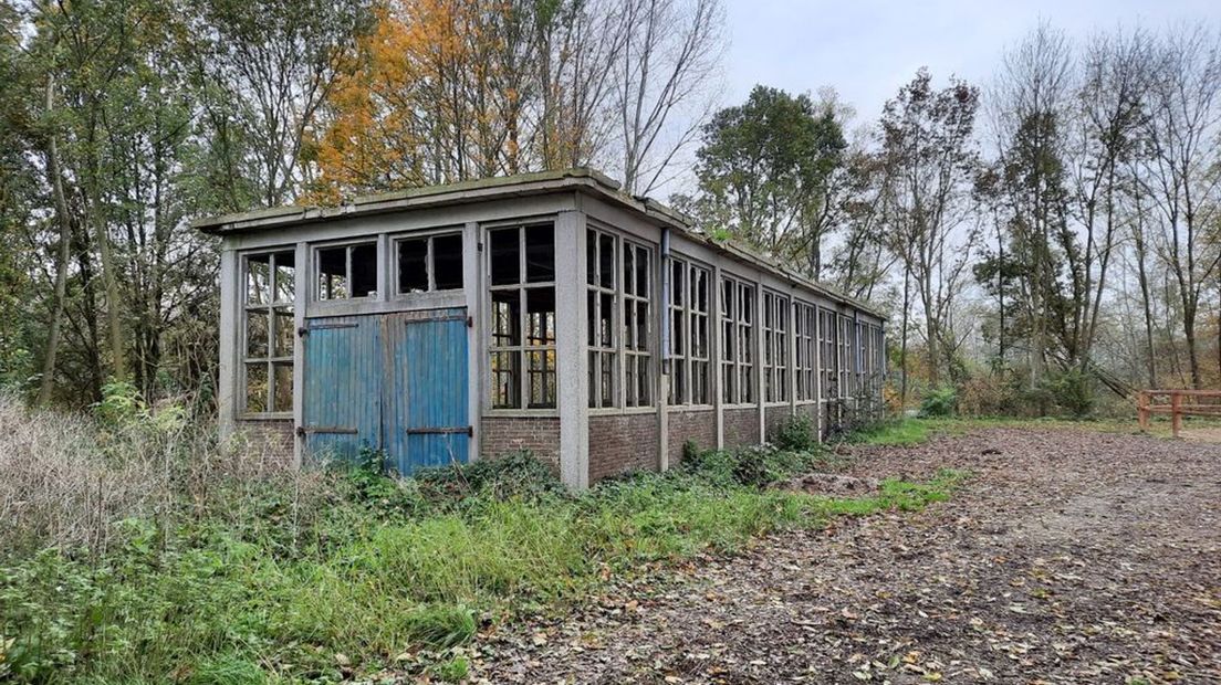 Remise in de huidige staat