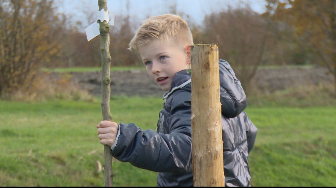 Over drie jaar lekker chillen onder de appelbomen