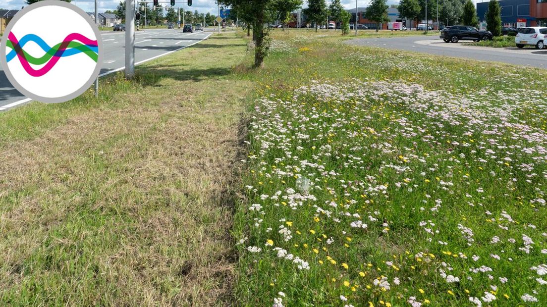 Voorbeeld maaibeheer bermen