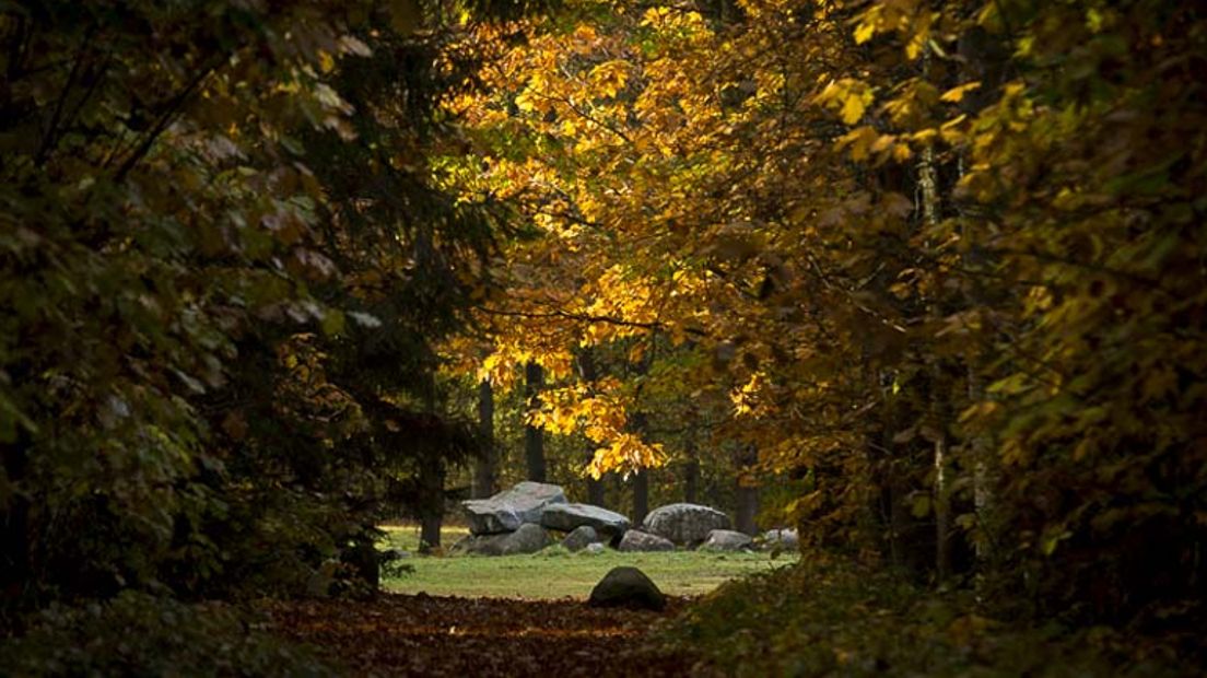 Drenthe ligt er kalmpjes bij deze herfst (Rechten: Karin Broekhuijsen)