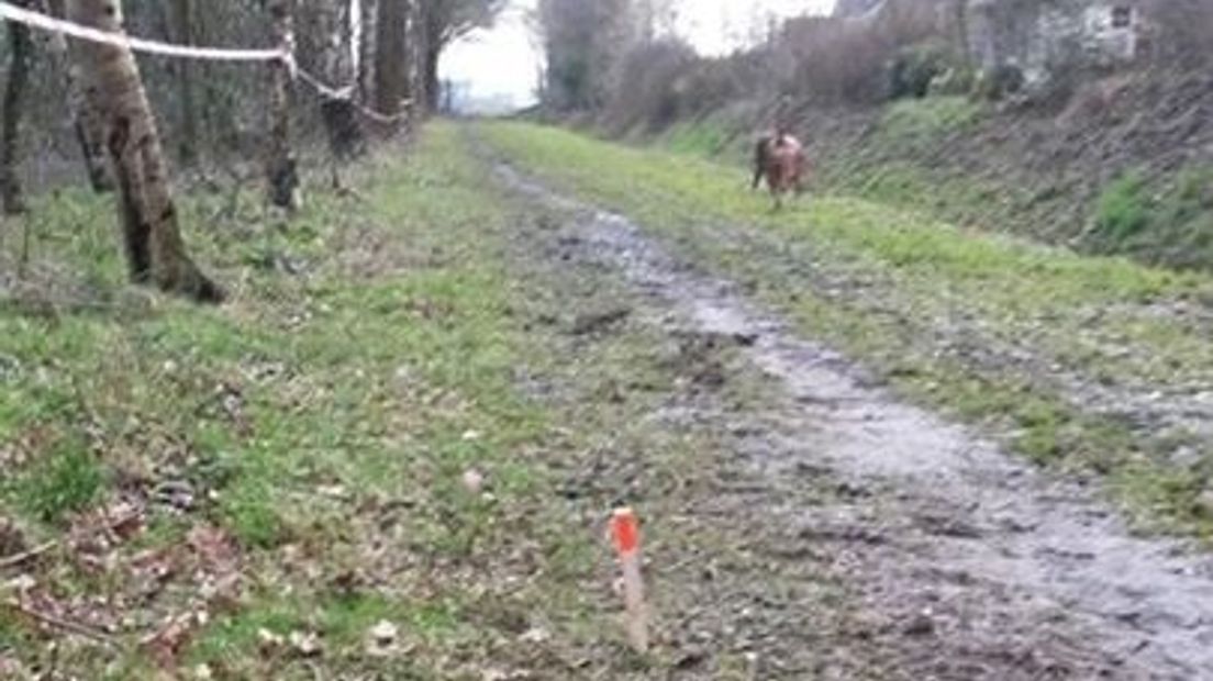 De piketpaaltje bij de bosjes