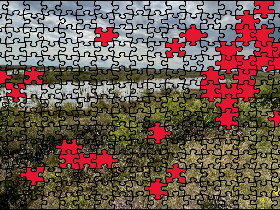 stikstofpuzzel