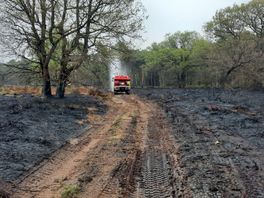 Kans op natuurbranden op hoogste niveau door droogte: fase twee van kracht in Overijssel