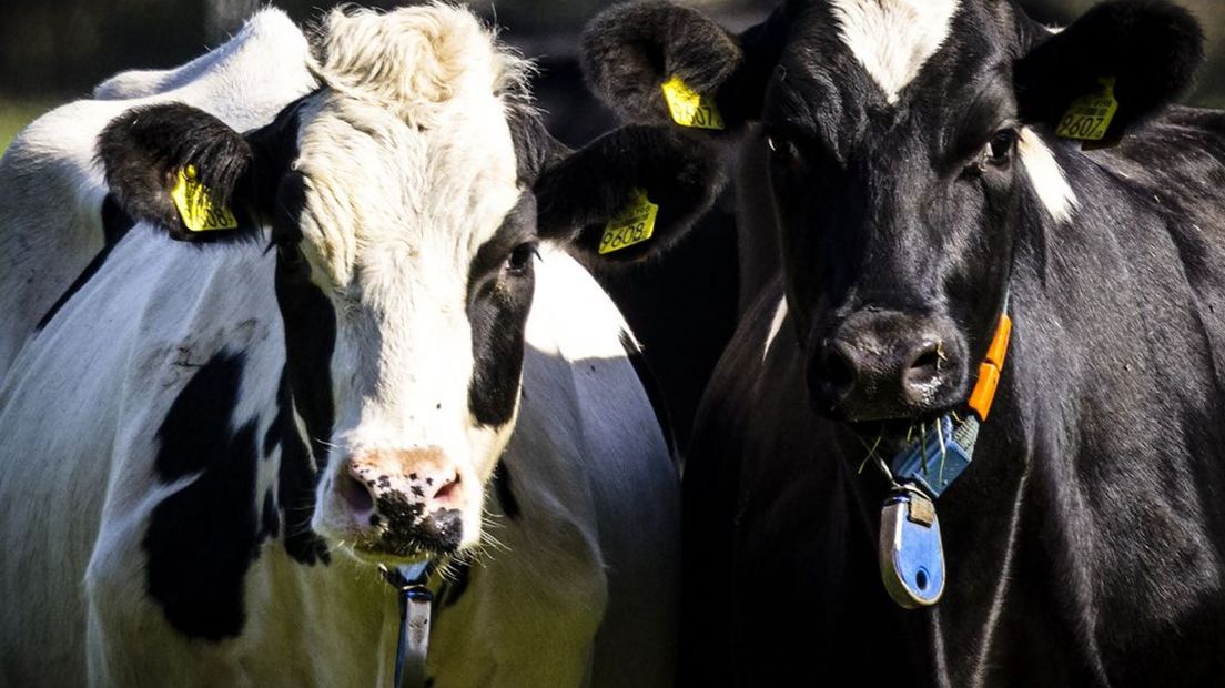 Boeren van FDF hebben maandag crisisberaad over mogelijke nieuwe acties.