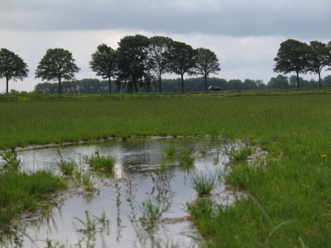 polder.cropresize.tmp.jpg