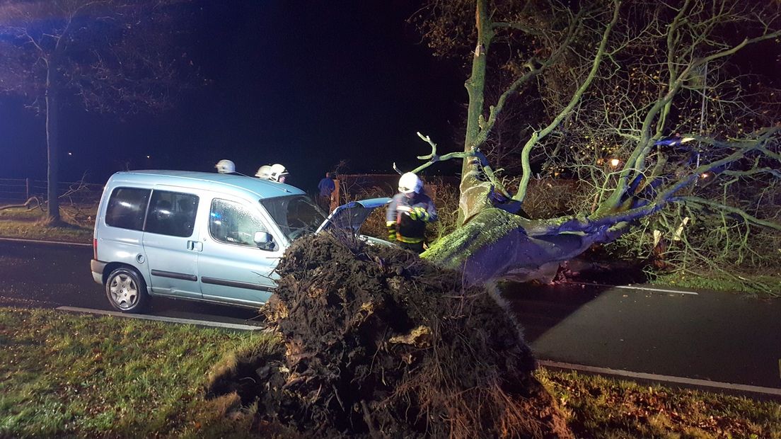 In Noordlaren botste een auto op een omgewaaide boom