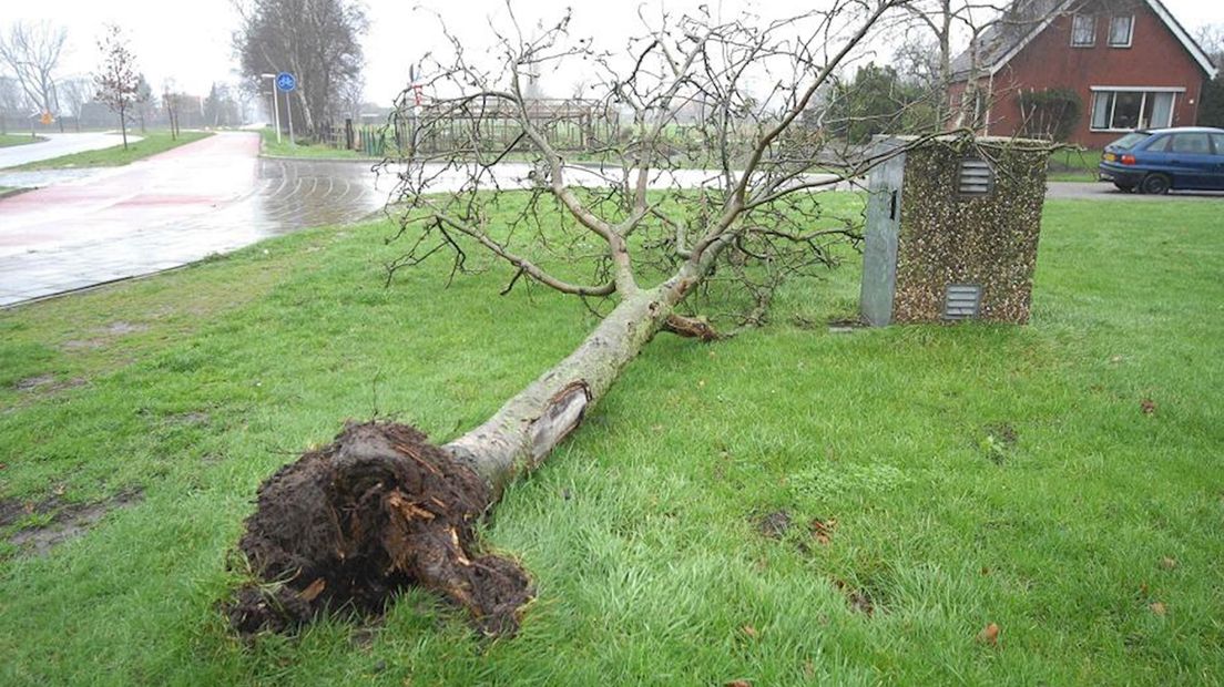 Stormschade