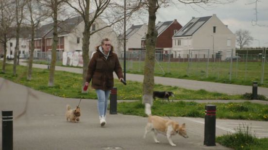 Wilma luncht met de Koning: 'Hoop dat ze een hond opvangen'