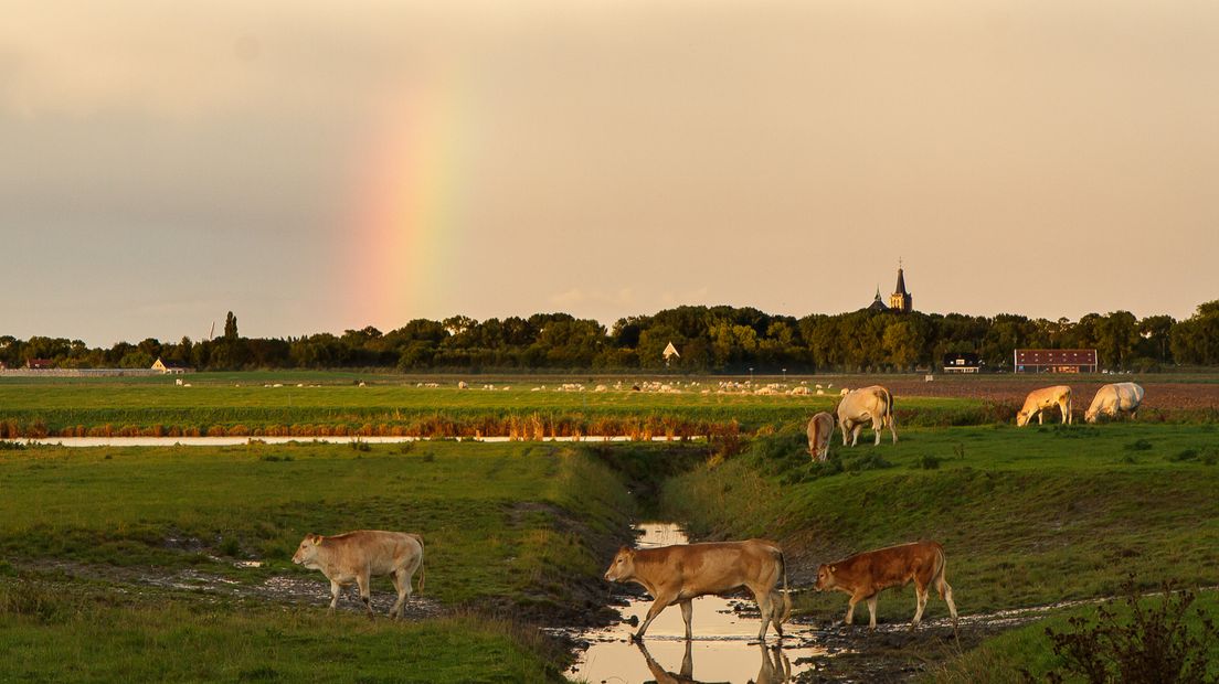 Regenboog in Wemeldinge